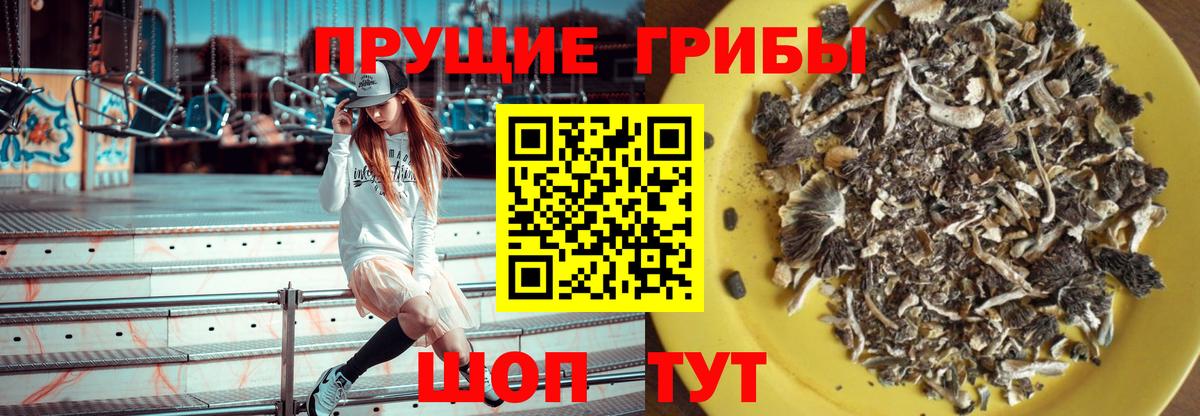 Псилоцибиновые грибы Psilocybe  Вход с VPN  Галлюциногенные грибы прущие грибы  Азнакаево 
