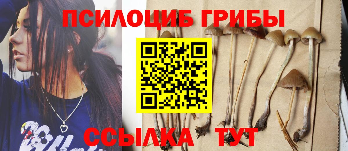 Псилоцибиновые грибы прущие грибы Азнакаево